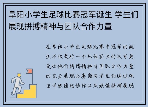 阜阳小学生足球比赛冠军诞生 学生们展现拼搏精神与团队合作力量